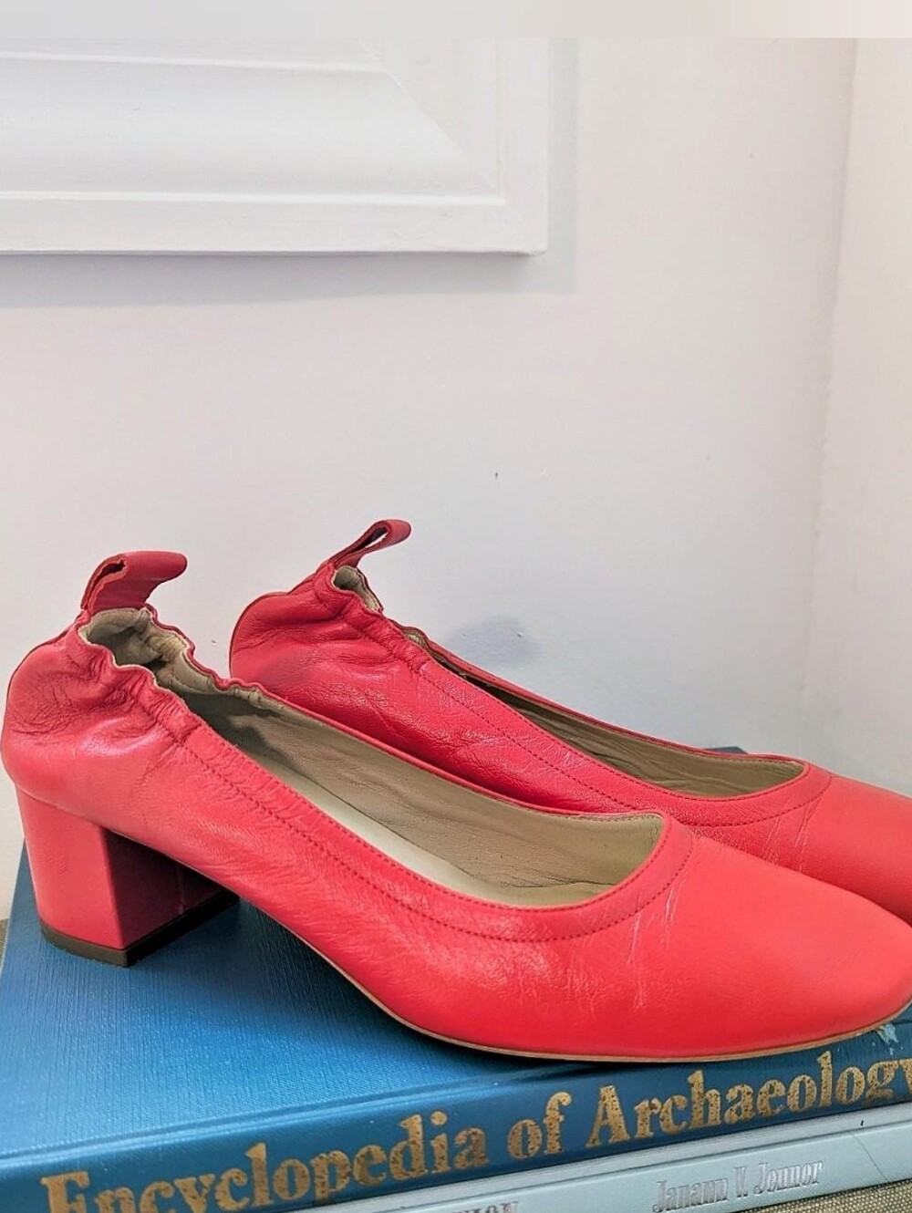 Everlane The Day Heel red leather ballet style heels